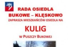 Plakat promujący kulig w Puszczy Bukowej